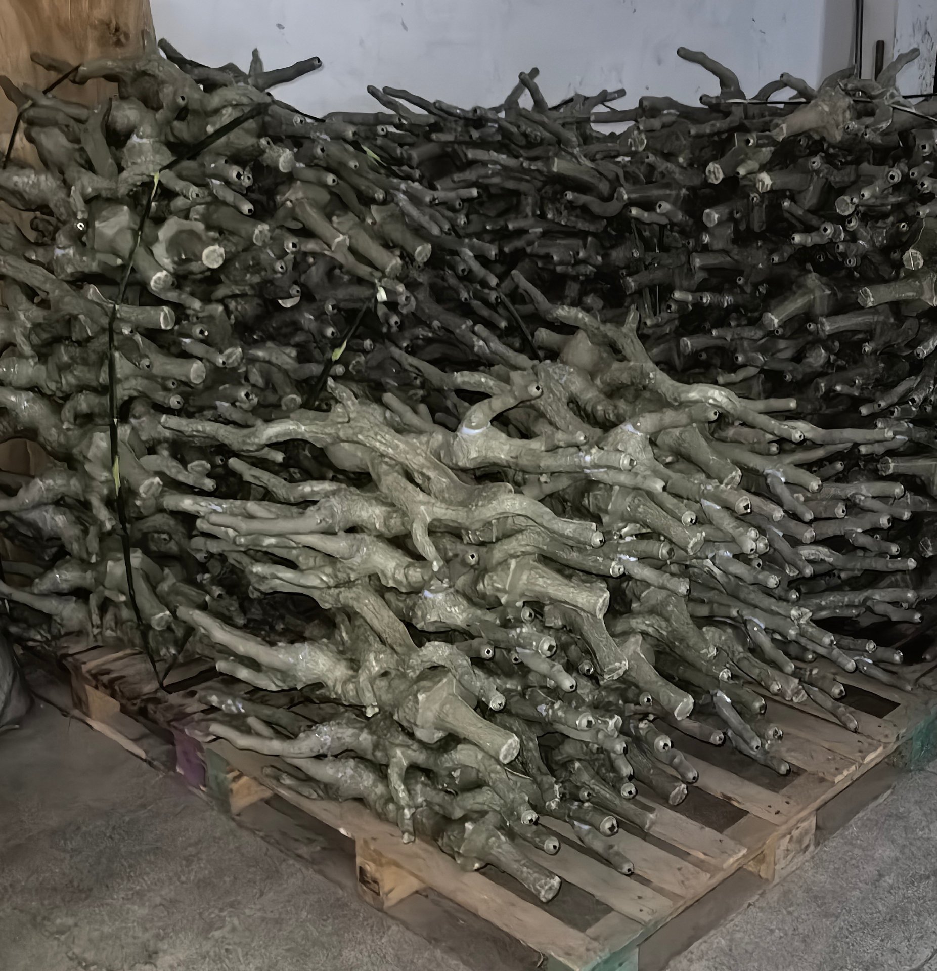 Tree trunks in production