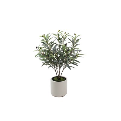 Olive Tree Model 01