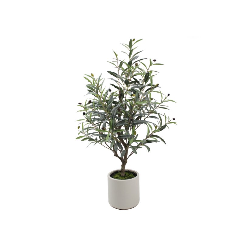 Olive Tree Model 02