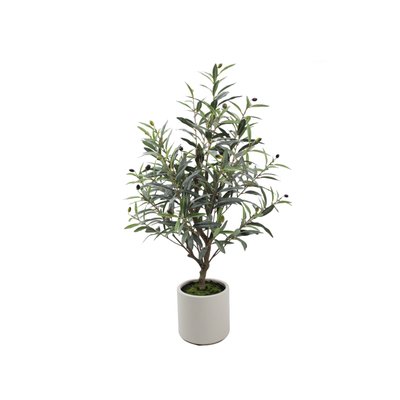 Olive Tree Model 02