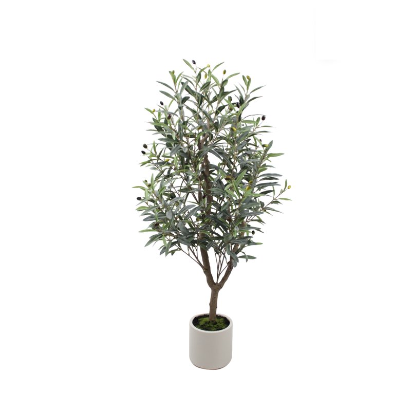 Olive Tree Model 03