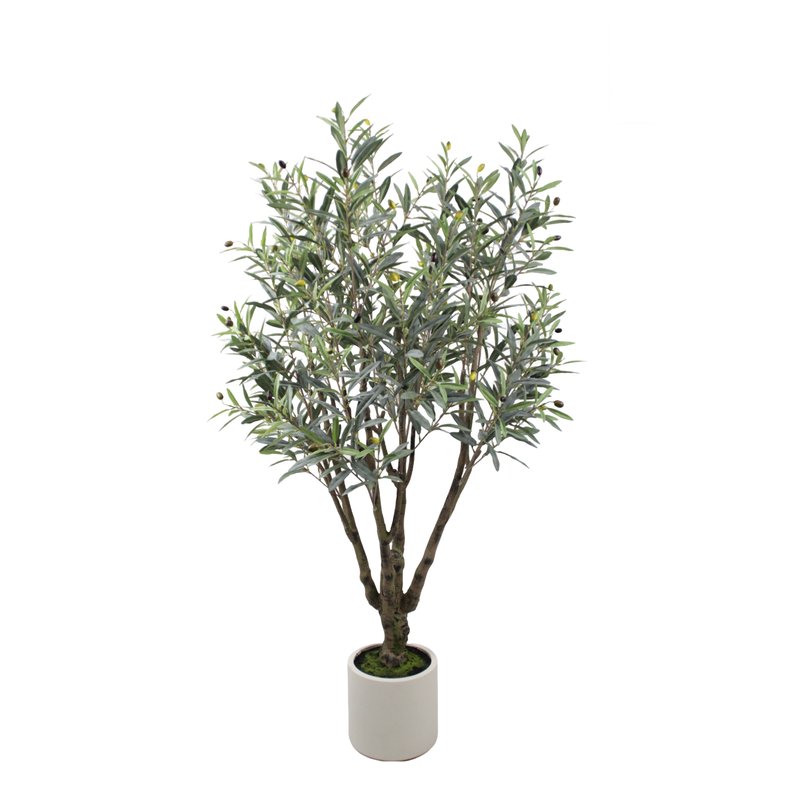Olive Tree Model 04
