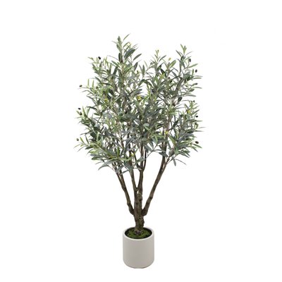 Olive Tree Model 04