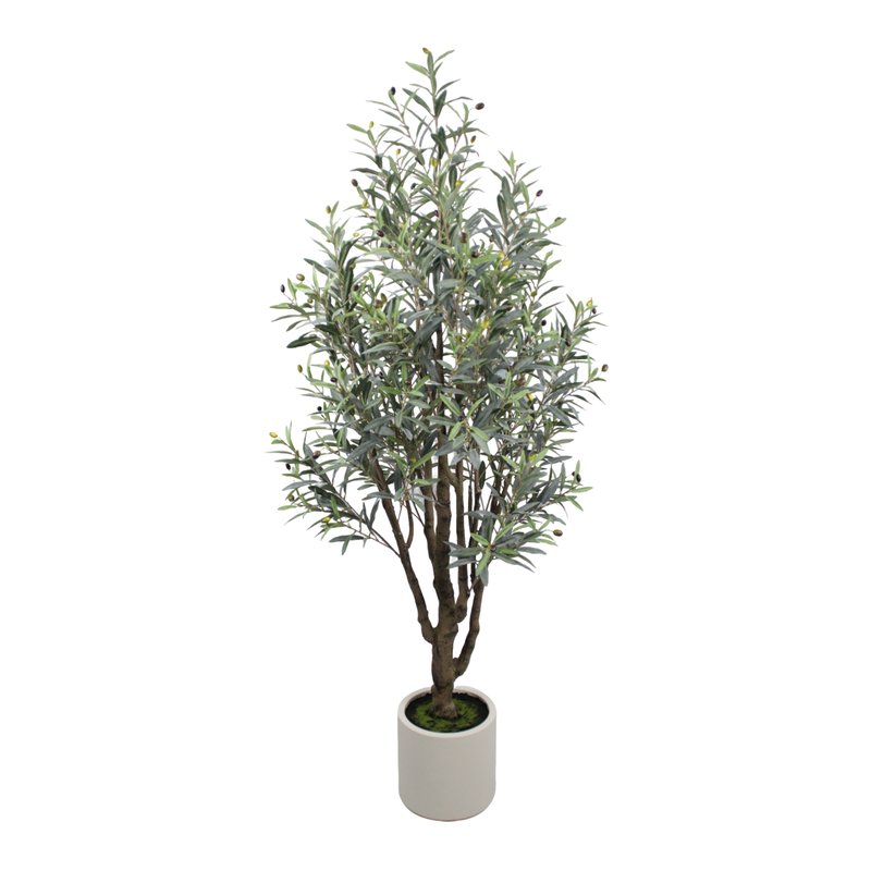 Olive Tree Model 05