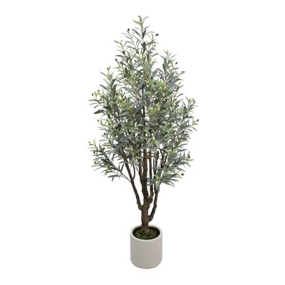 Olive Tree Model 05