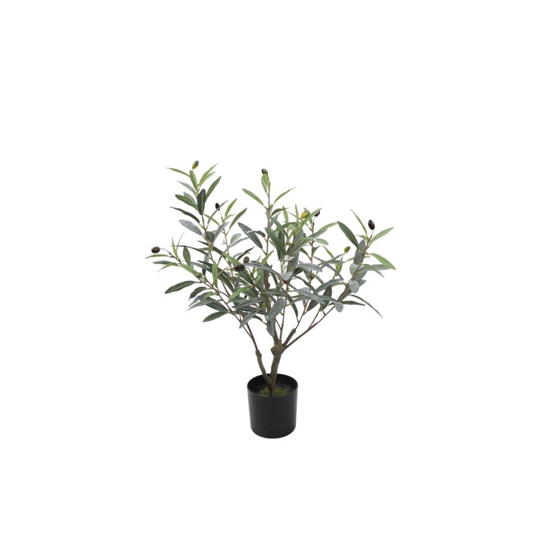 Olive Tree Model 06