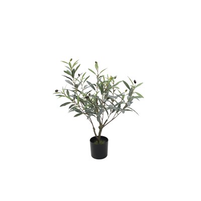 Olive Tree Model 06