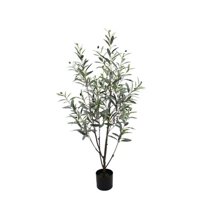 Olive Tree Model 07