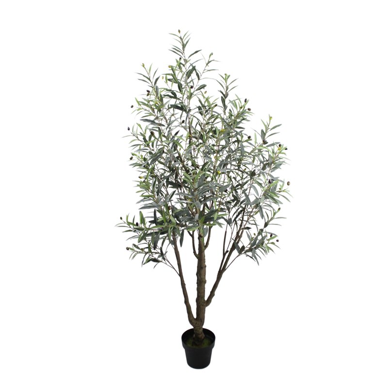 Olive Tree Model 08