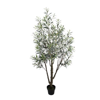 Olive Tree Model 08