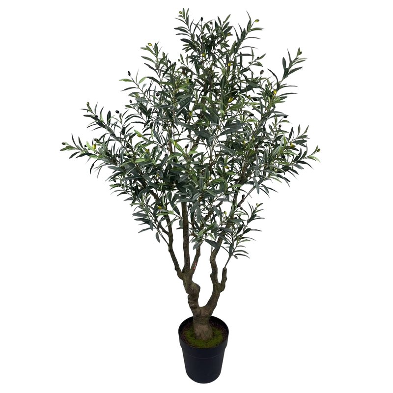 Olive Tree Model 09