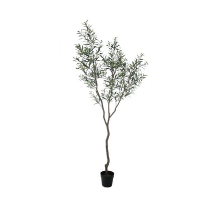 Olive Tree Model 10