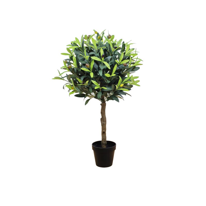 Olive Tree Model 11