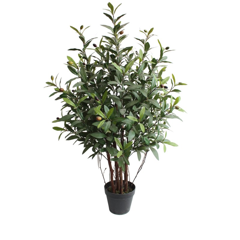 Olive Tree Model 12