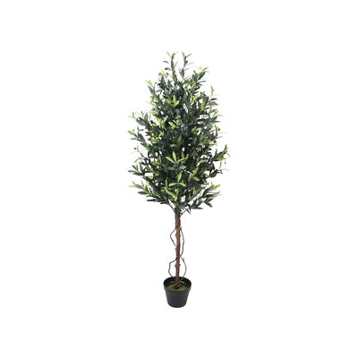 Olive Tree Model 13