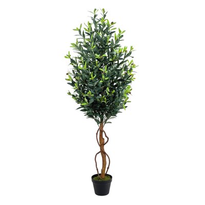 Olive Tree Model 14