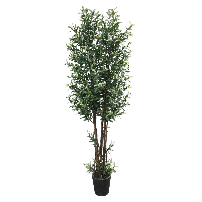 Olive Tree Model 15