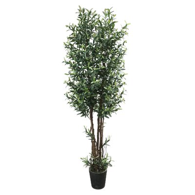 Olive Tree Model 15