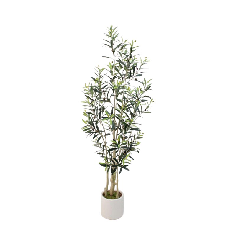 Olive Tree Model 16